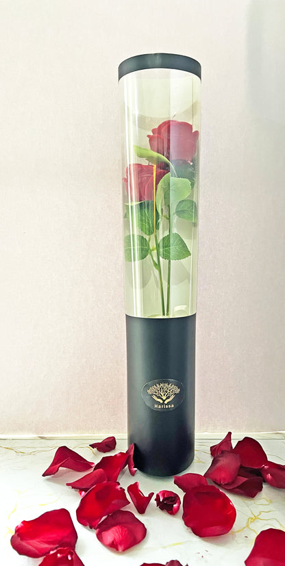 Forever Roses – Ζευγάρι Φυτικών Αρωματικών Τριαντάφυλλων