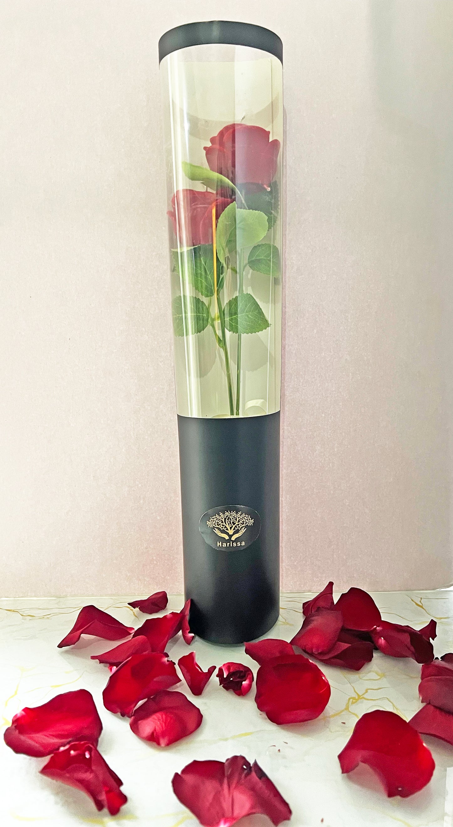 Forever Roses – Ζευγάρι Φυτικών Αρωματικών Τριαντάφυλλων