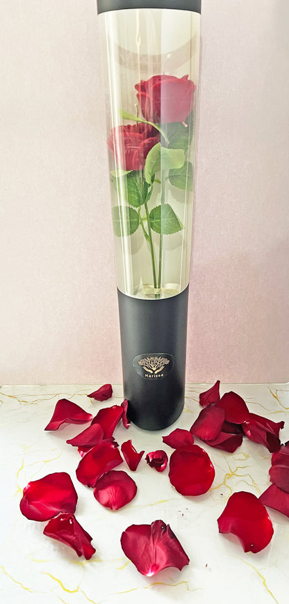 Forever Roses – Ζευγάρι Φυτικών Αρωματικών Τριαντάφυλλων